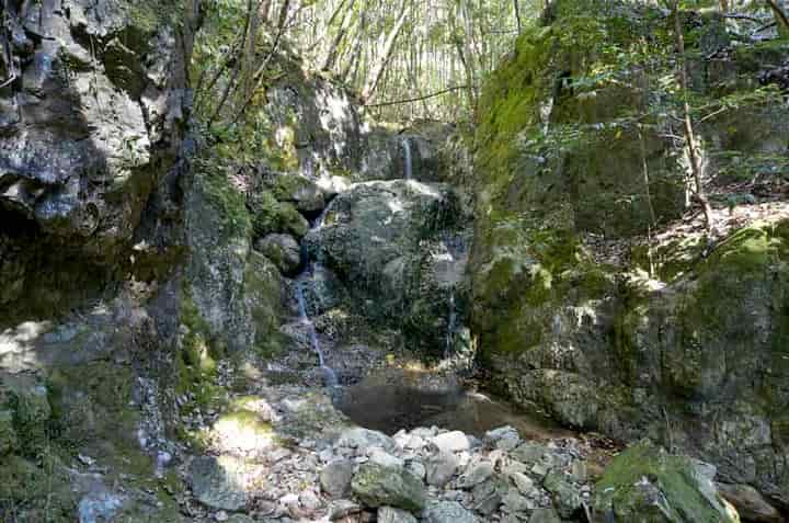 �吣�̑�E���ʂ��